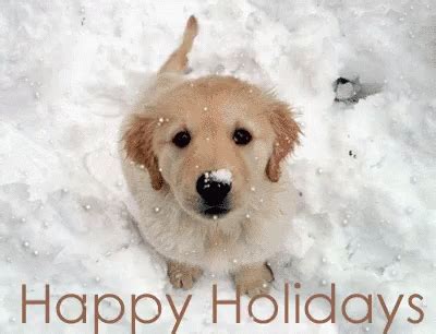 Happy Holidays Dog GIF - Happy Holidays Dog - Discover & Share GIFs