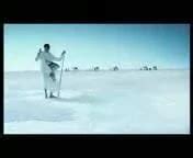 Bobs Amateur Amateur Porn XHamster