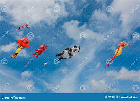 Kites stock image. Image of outdoor, outdoors, green - 79785041