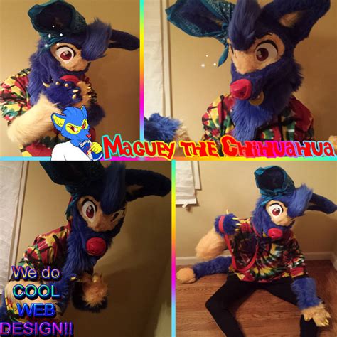 Maguey The Chihuahua Fursuit By Guro420 On Deviantart