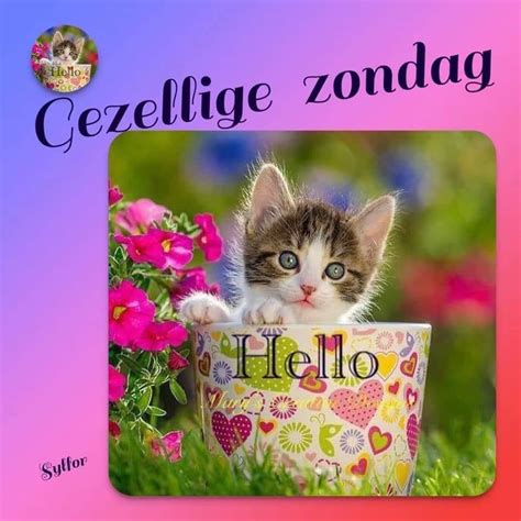 Pin Van Ingrid Ceder Op Zondag Zondag Humor Zondag Goedemorgen Grappig