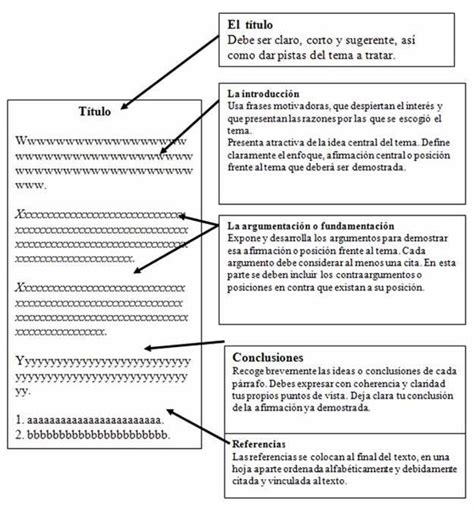 Pasos Para Redactar Un Ensayo Literario