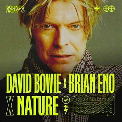 Get Real Sounds Right Mix Feat NATURE By David Bowie Brian Eno