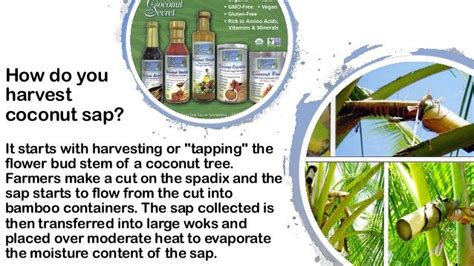 Coconut Sap