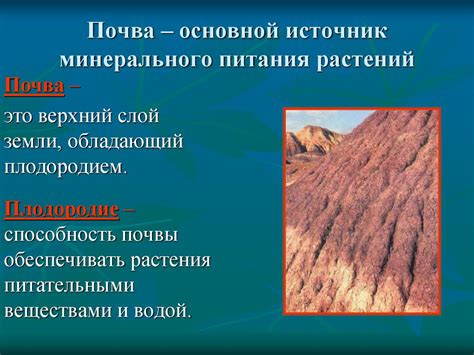 Минеральное питание растений - online presentation