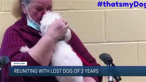 Woman Reunited With Missing Dog 3 Years Later