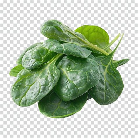 Premium Psd Spinach Transparent Background