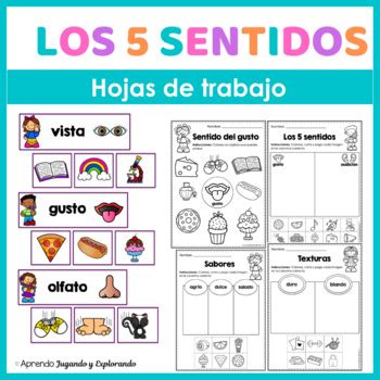 Los 5 Sentidos Five Senses In Spanish Worksheets TPT