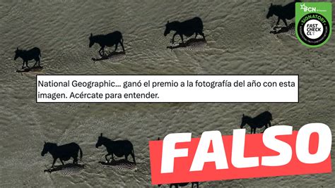 Imagen National Geographic Gan El Premio A La Fotograf A Del A O