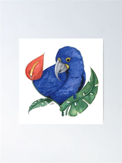 Hyacinth Macaw Poster By Lyndaseward Redbubble