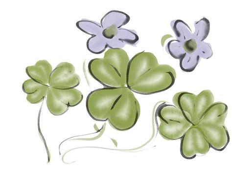 Clovers By Studiomasaha On Deviantart