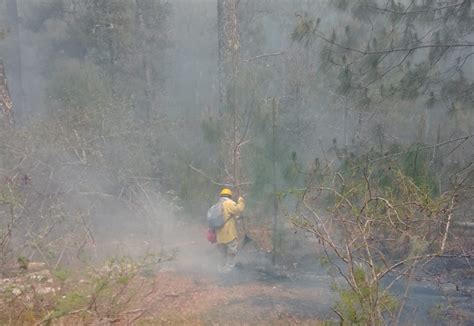 Incendio En El Ca N Del Novillo Ya Rebasa Las Mil Hect Reas