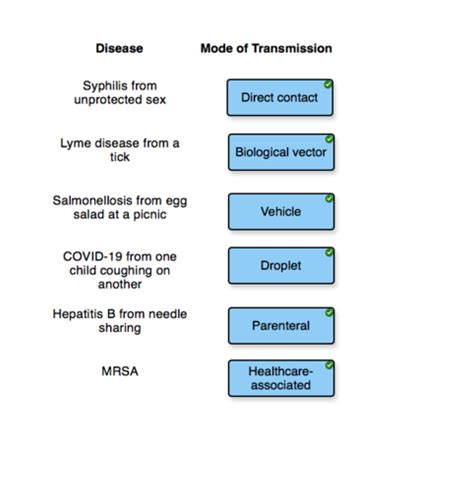 Microbio Final CH 11 15 22 Flashcards Quizlet