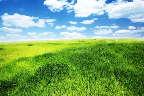 Campo De La Hierba Verde Y Del Cielo Nublado Azul Imagen De Archivo