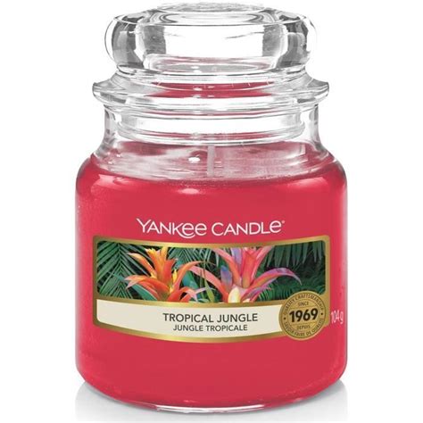 Bougie Jarre Parfum E Petite Taille Jungle Tropicale Jusqu