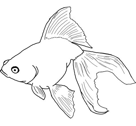 Free Printable Fish Coloring Pages - Free Printable