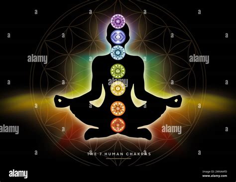 Kundalini And Chakras Full Details, Meaning And Benefits, 48% OFF