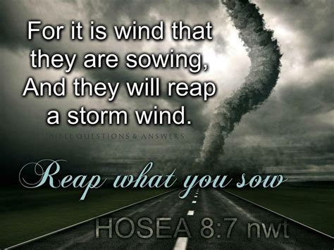 Reaping The Whirlwind Bible Questions Bible Questions And Answers