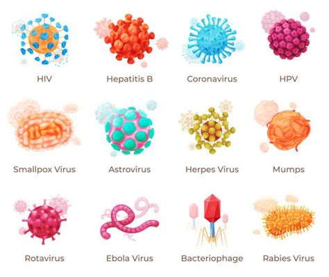 The Different Types Of Germs And How They Are Used To Fight Against Them