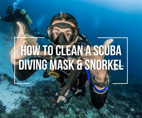 How To Clean A SCUBA Diving Mask Snorkel Wetsuit Wearhouse Blog