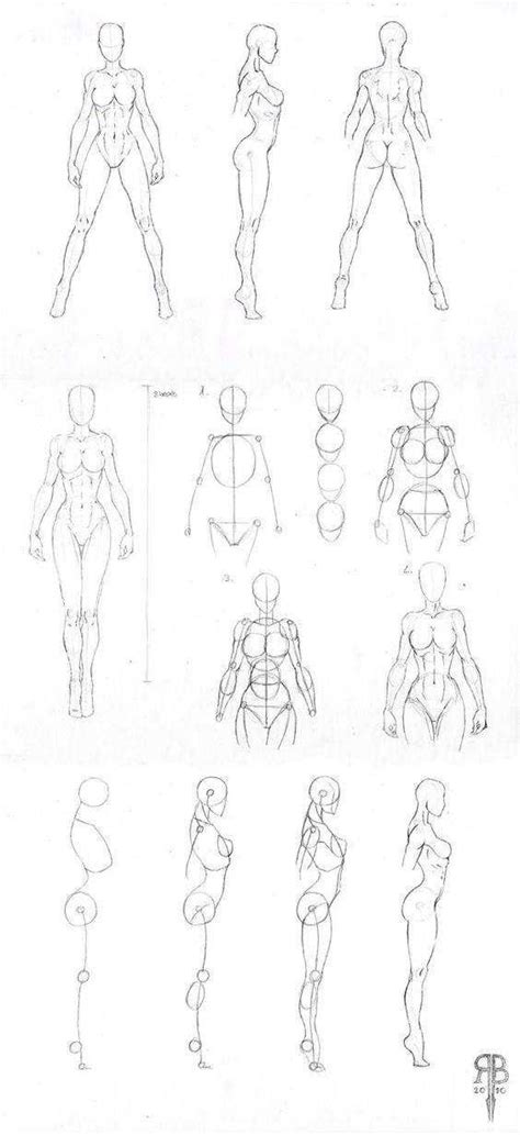 Art Tutorialsreferences Dump Imgur Body Shape Drawing Human Body Drawing Body Drawing