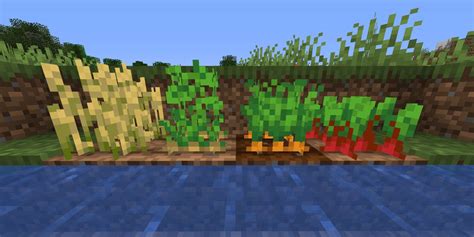 Minecraft Everything You Need To Know About Growing Crops