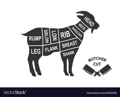 Goat Scheme Cuts Butcher Diagram Poster Meat Vector Image