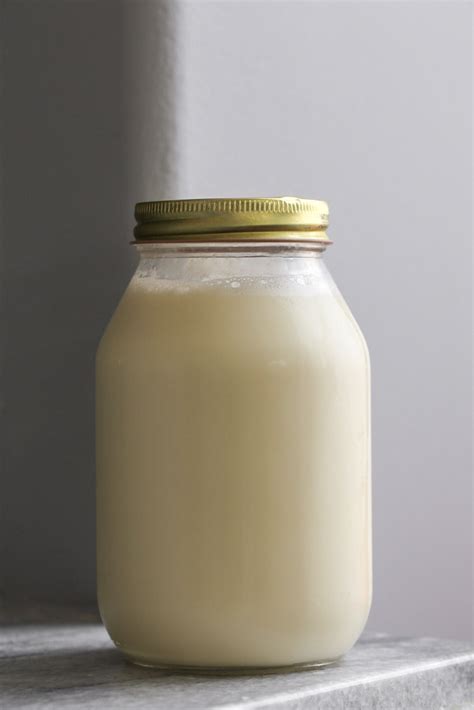 How To Make Soy Milk Recipe Plantobevegan