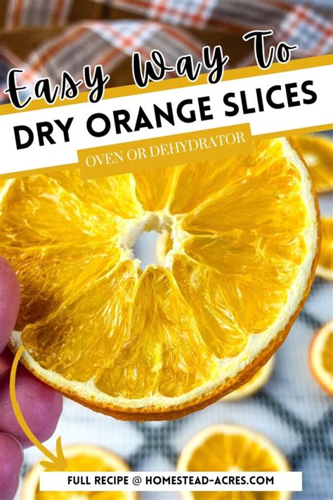 How To Dehydrate Orange Slices Dehydrator Or Oven Homestead Acres