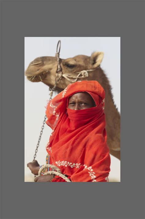 In pictures: The Sahel drought | Gallery | Al Jazeera