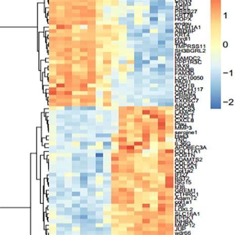 Hierarchical Clustering Heat Map Of Degs By Normal Tissues N And Download Scientific Diagram