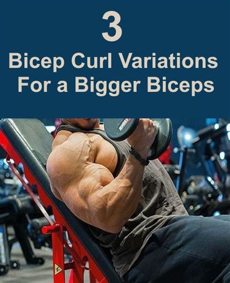 3 Bicep Curl Variations For A Bigger Biceps Fitness And Power In 2023