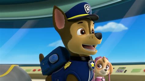 Paw Patrol La Pat Patrouille Saison 1 En Streaming Direct Et Replay