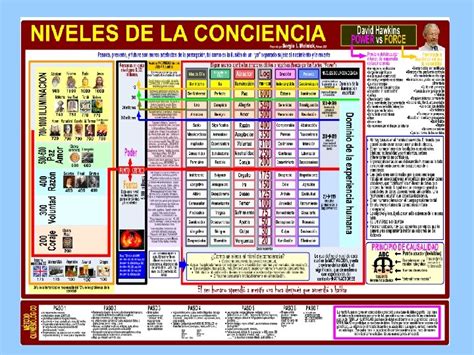 El Mapa De La Conciencia Basada En Textos