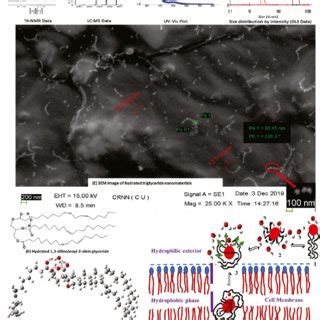 Characterization Nano Scale Property Transportation And DFT Study Of