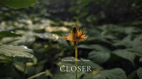 CLOSER Cinematic Alam Pedesaan Sinematik Alam Sekitar Cinematic