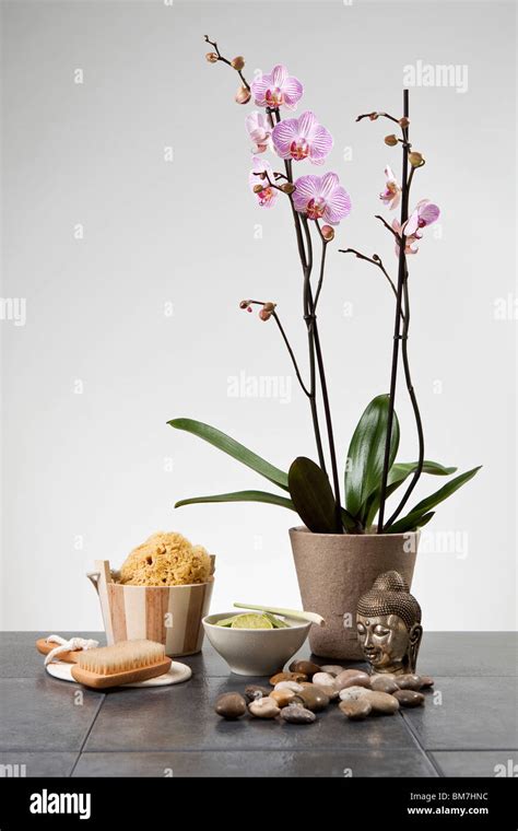 Spa Still Life Stock Photo Alamy