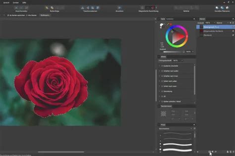 Affinity Designer Tutorial Grundlagen