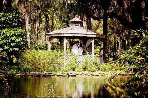 Washington Oaks Gardens State Park Wedding Beautiful Insanity