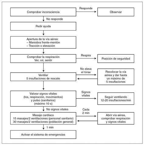 Reanimación Cardiopulmonar Básica En Pediatría Anales De Pediatría