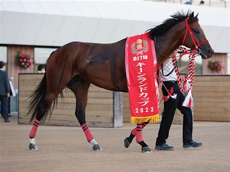 【キーンランドc】売上は64億7483万900円で昨年からおよそ10億円の増加 競馬ニュース Netkeiba