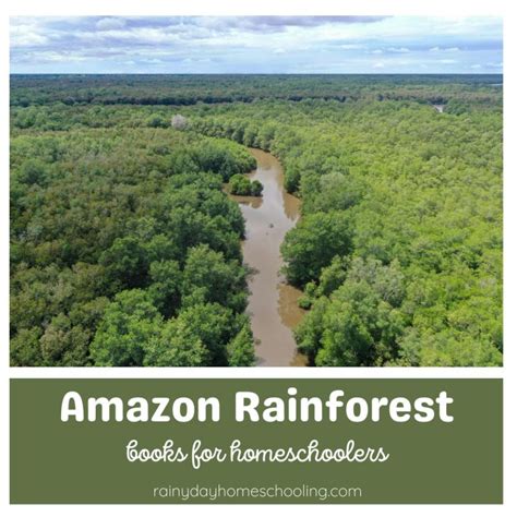 Amazon Rainforest Activities - Rainy Day Homeschooling