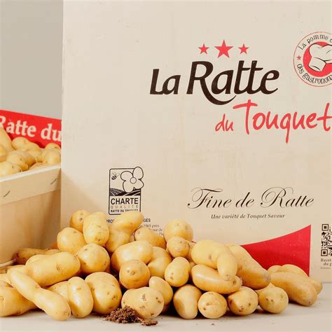 La Ratte du Touquet. A favorite with French chefs. ⠀ La Ratte potatoes hold their shape well ...