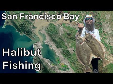 San Francisco Bay Halibut Fishing Youtube