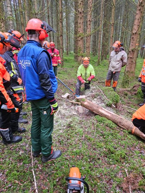 Grundkurs Motors Genf Hrer Spannungssimulator Freiwillige Feuerwehr