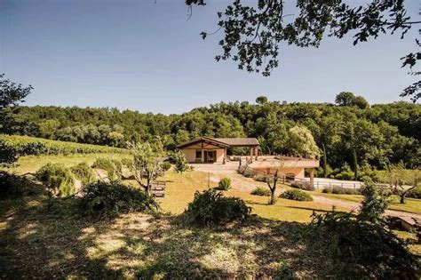 Visita Alle Cantine Storiche Di Montepulciano E Degustazione Holidoit