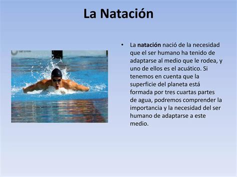 La Natacion Historia Ppt Descarga Gratuita