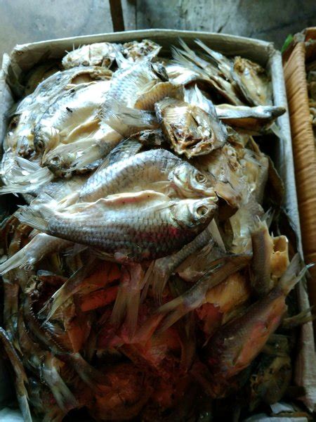 Jual Ikan Asin Tawes Di Lapak UD SUMBER REZEKY Bukalapak