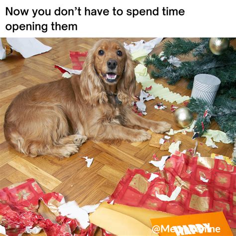 12 Christmas Dog Memes: Dog Mom Humor | YoCanine