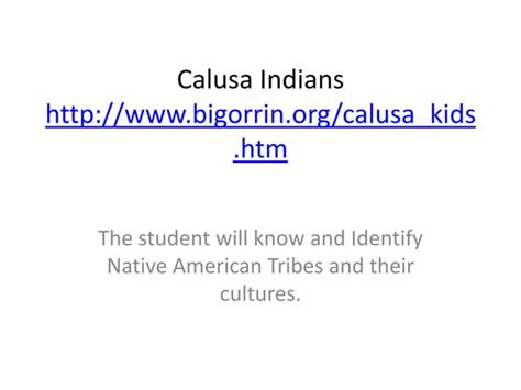 Calusa Indians Ppt